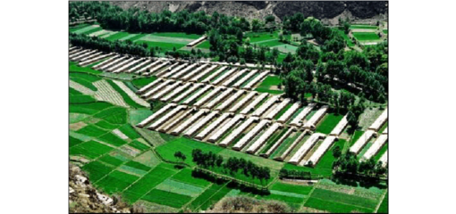 2017年现代生态农业示范园建设项目可行性研究报告