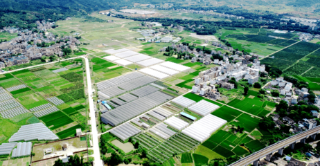 访谈| 胡佰林 接续奋斗，以生态农业开发跑出乡村振兴加速度